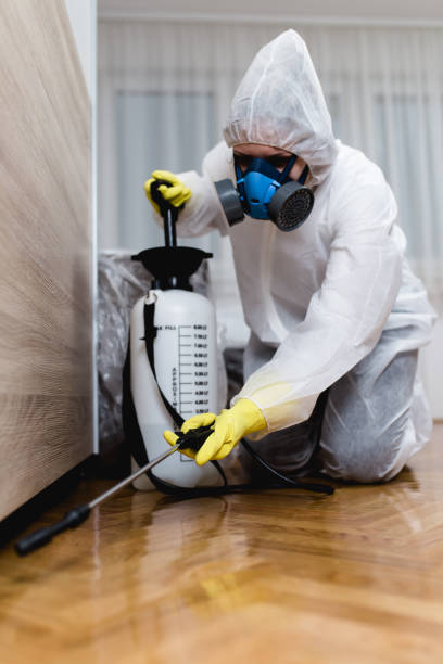 Best Pest Prevention Services  in Minorca, LA